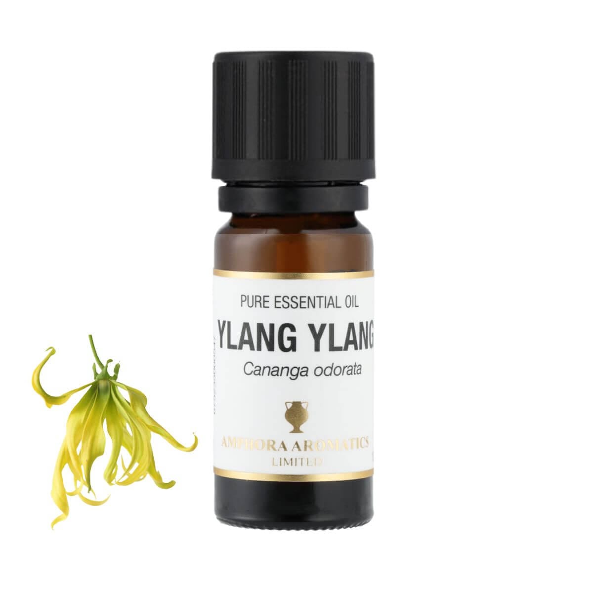 イランイラン アロマオイル（精油）10ml