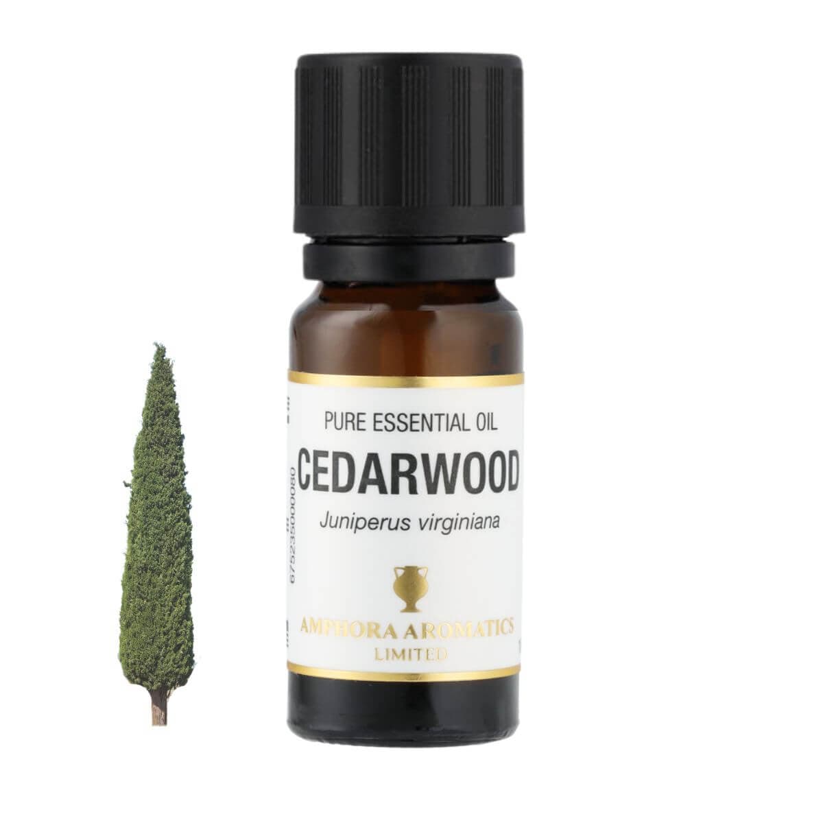 シダーウッド・バージニア アロマオイル（精油）10ml