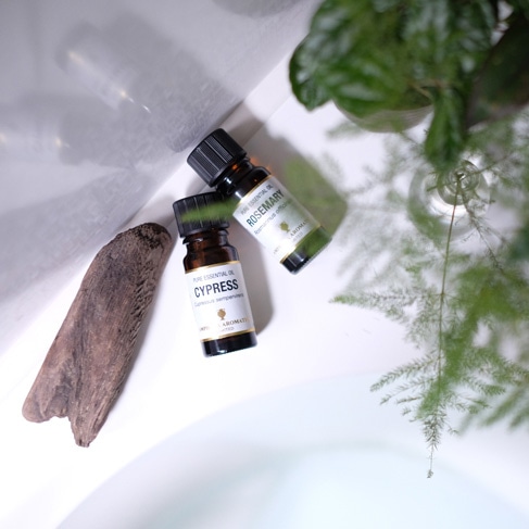パイン アロマオイル（精油）10ml