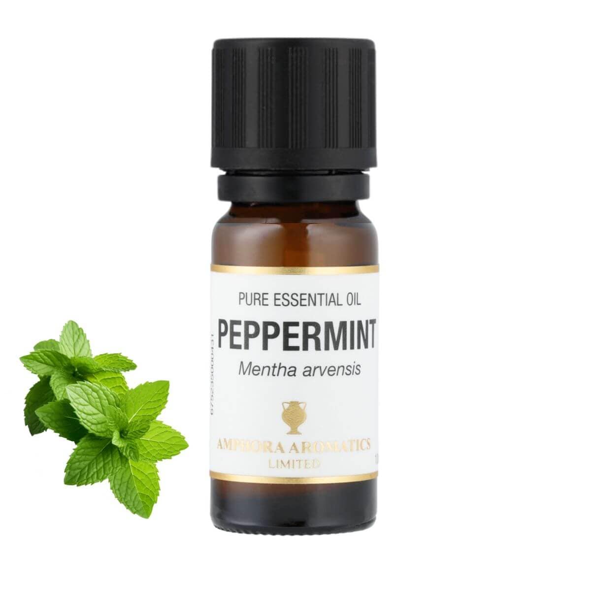 ペパーミント アロマオイル（精油）10ml