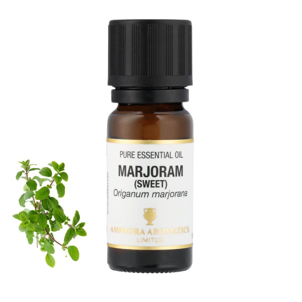 マージョラム・スイート アロマオイル(精油)10ml