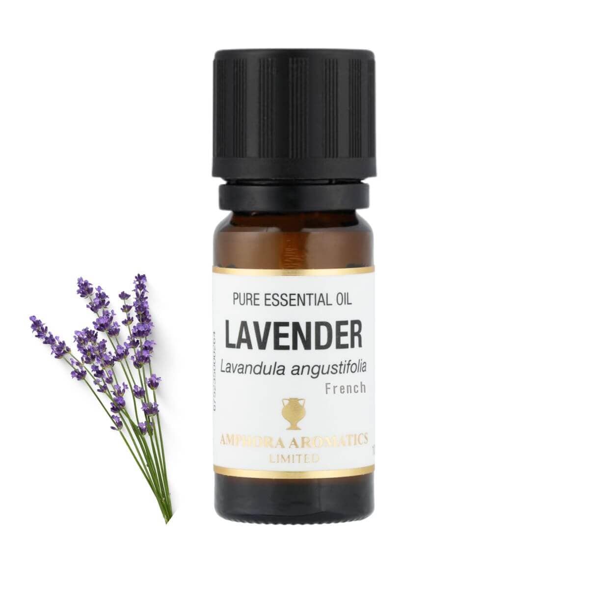 ラベンダー フレンチ アロマオイル（精油）10ml