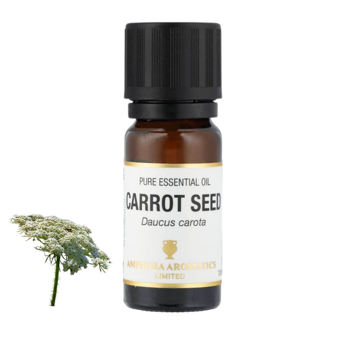 キャロットシード アロマオイル（精油）10ml