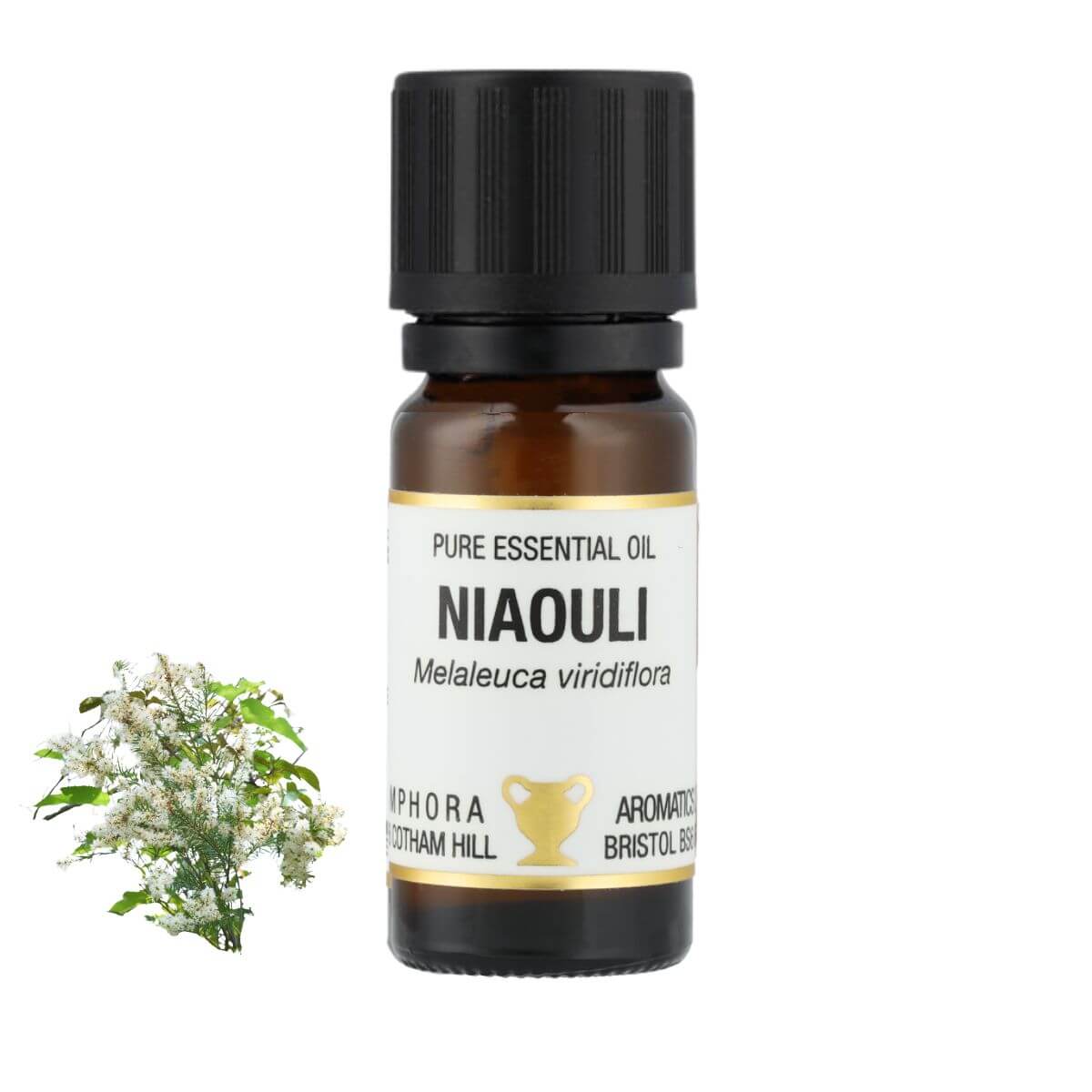ニアウリ アロマオイル（精油）10ml