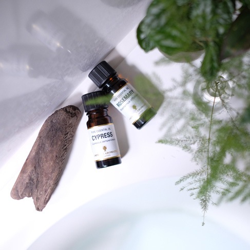 ラベンダースパイク アロマオイル（精油）10ml