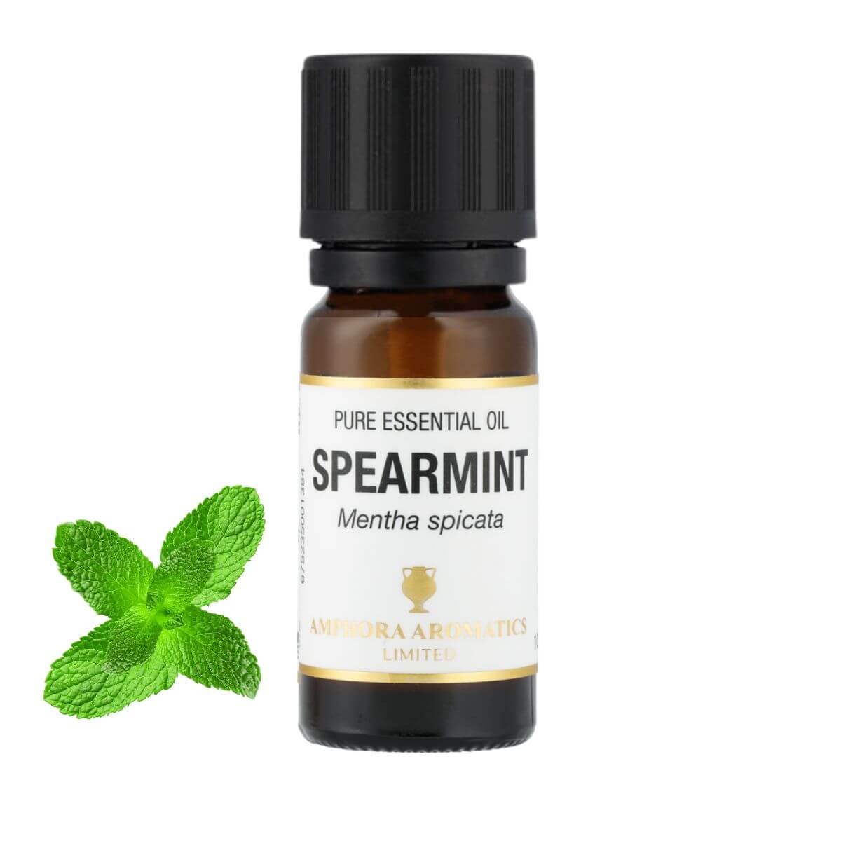 スペアミント アロマオイル（精油）10ml