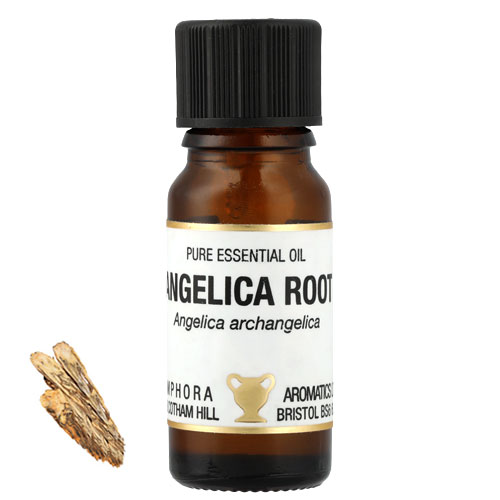 アンジェリカルート アロマオイル（精油）10ml