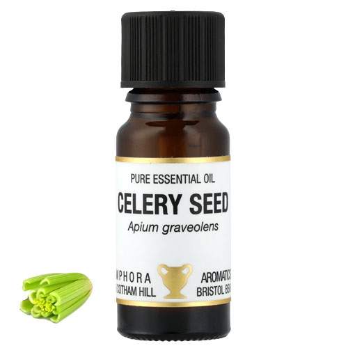 セロリシード アロマオイル（精油）10ml