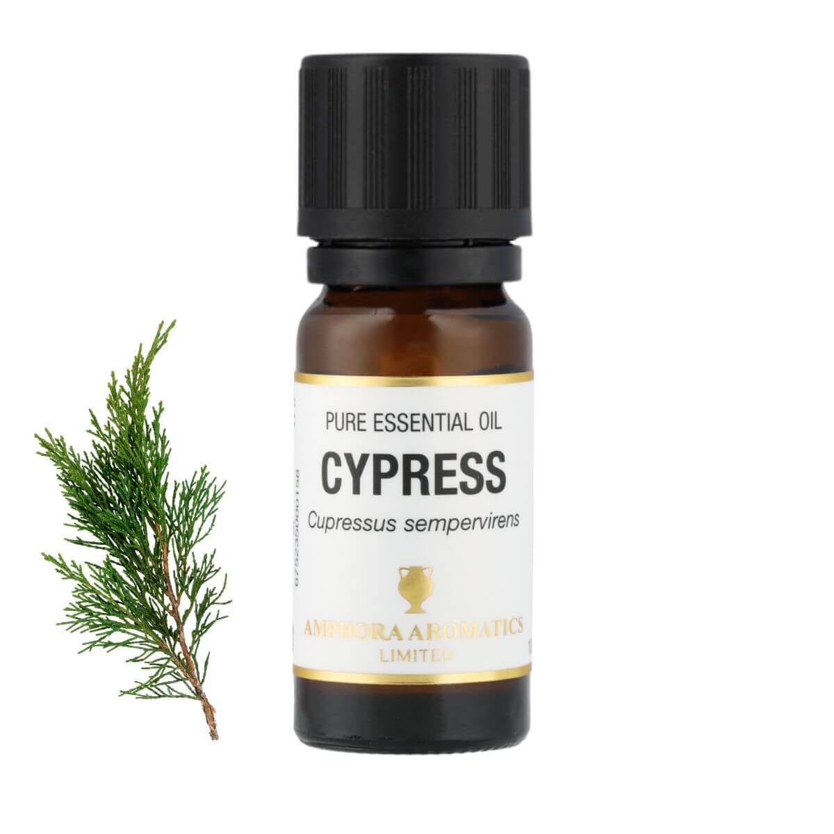 サイプレス アロマオイル(精油)10ml