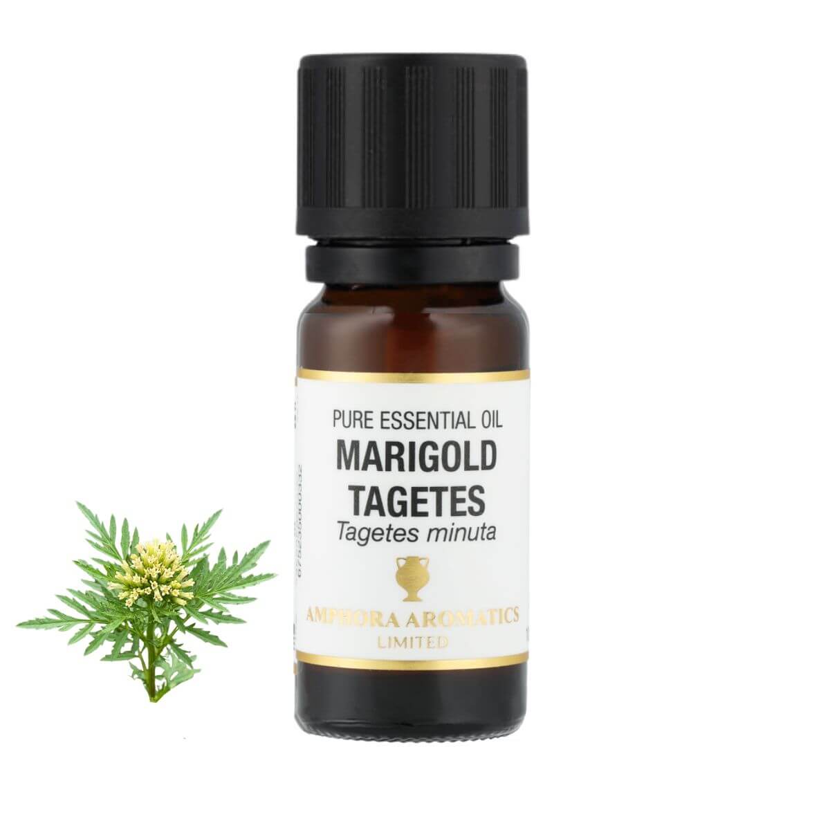 マリーゴールド アロマオイル（精油）10ml