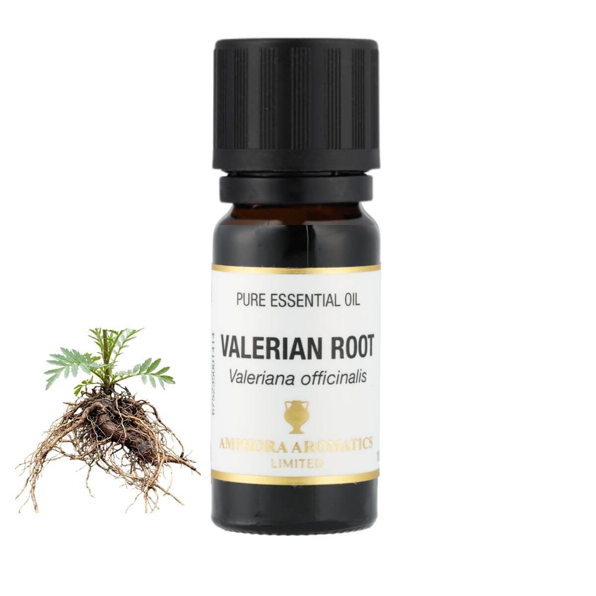 バレリアンルート アロマオイル（精油）10ml