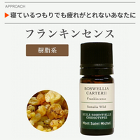 ե󥭥󥻥10mL