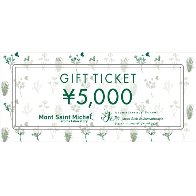 Mont Saint Michelå 5000