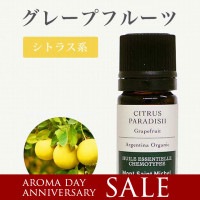 졼ץե롼5mL2025ޤǰ