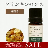 ե󥭥󥻥5mL2025ޤǰ