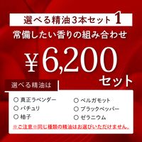 ٤륻åȣȤ߹碌6,200åȡ2025ޤǰ