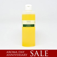 ̳ѥۥۥ(̤) 250L 2025ޤǰ