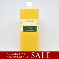 ̳ѥۥۥ(̤) 1000mL 2025ޤǰ