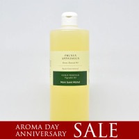 ̳ѥȥ()500L2025ޤǰ