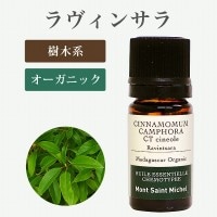 SALEۥ󥵥10mL