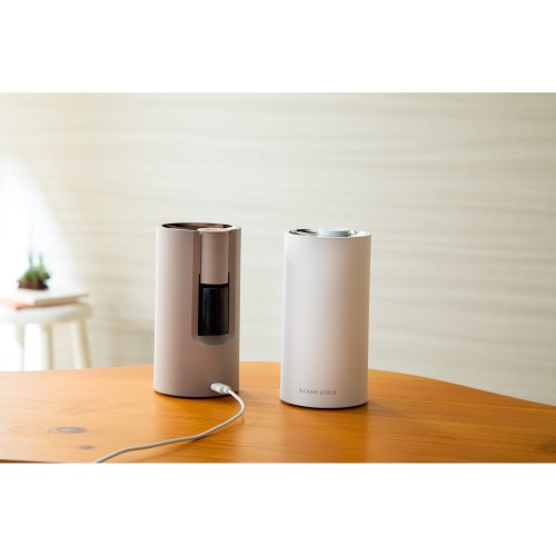 �����ޥ֥꡼�� Bamboo�ʥХ�֡��� �֥饦��