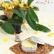 OSMANTHUS��BLEND (����⥯����) 3mL