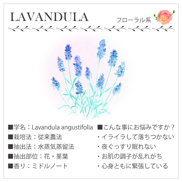 真正ラベンダー10ml エッセンシャルオイル Aromashop アロマショップ Mont Saint Michel