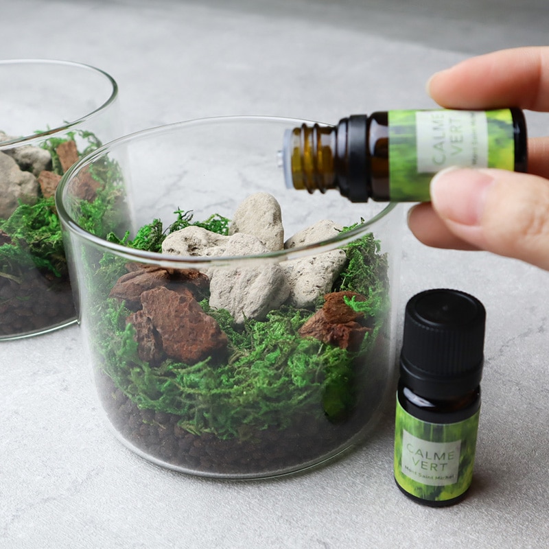 CALME VERT(������������)5mL