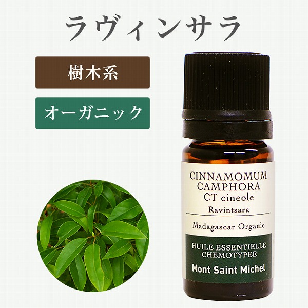 ������󥵥�5mL