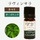 ������󥵥�5mL