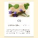 Celebration day (֥졼ǥ) 5mL