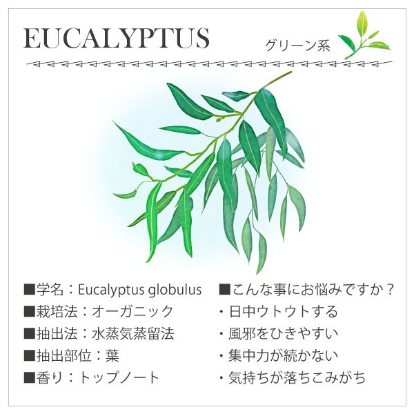 �桼���� �֥롼����5mL