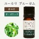 �桼���� �֥롼����5mL