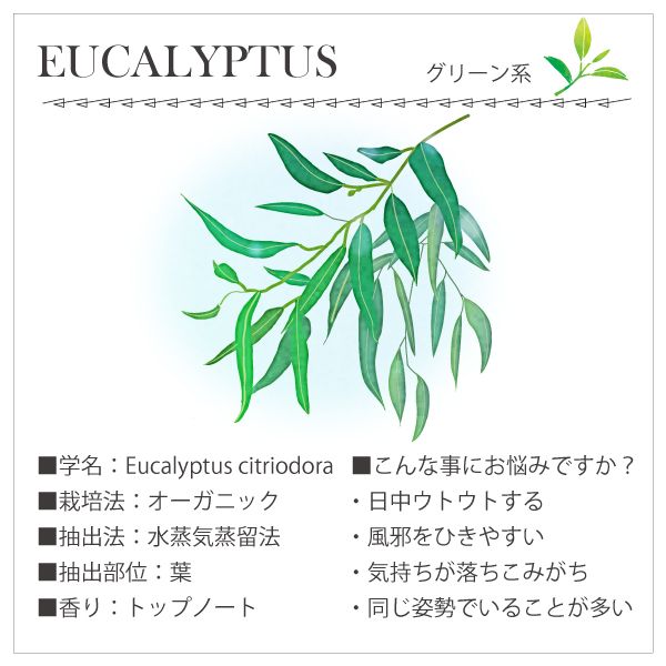 �桼�������5mL