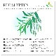 �桼�������5mL