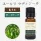 桼ǥ10mL