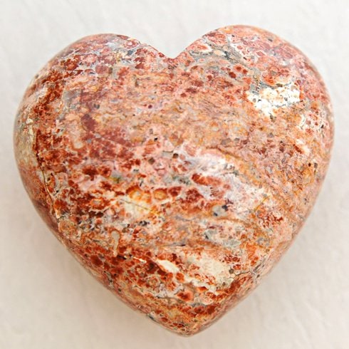 J)�ϡ��ĥ��å����쥪�ѡ��ɥ����󥸥㥹�ѡ�