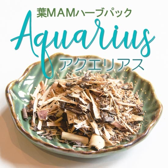 ٥åMAMѥϡ֥ѥåֿΤץꥢ15