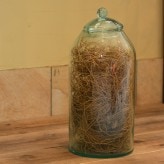 ���饹���ӥ����åȥ��㡼����ˡڥ����ȥ�åȡ�