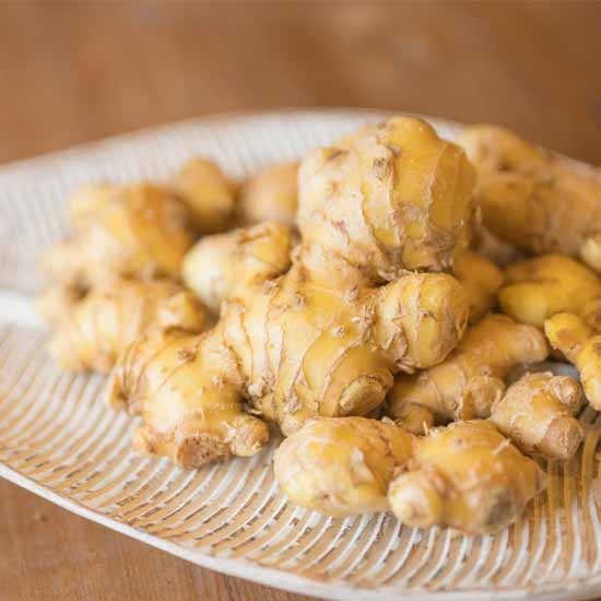 磻ɥ󥸥㡼åϥʥ祦ʥɥ饤ϡ֡ 100g