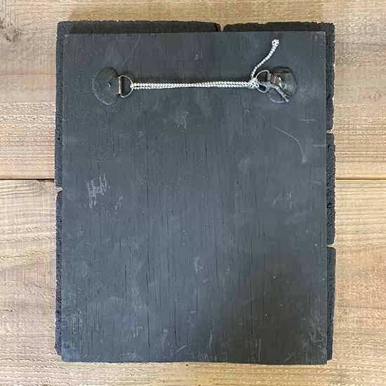 ƫ�ĥ���󥢡��ȡ���ɳ�����C