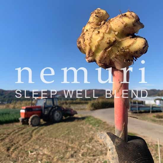 ٥åMAMѥϡ֥ѥåäͤ-nemuri8ˡڸ
