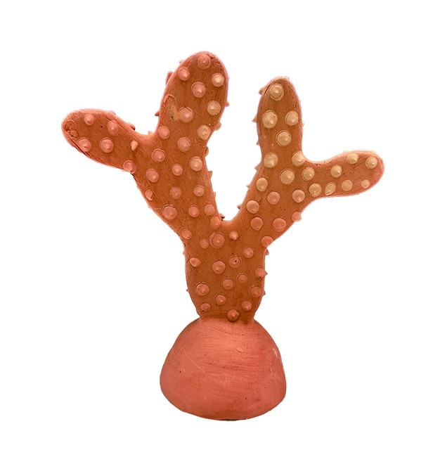 テラコッタカクタス ナチュラル