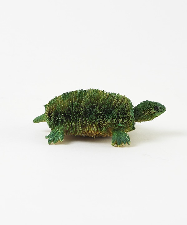 タワシアニマル カメ