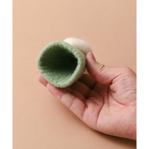 フェルトノーム