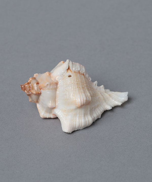 シェルインセンスホルダー