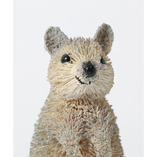 たわしアニマル(クオッカワラビー)