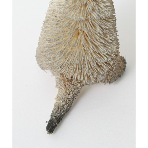 たわしアニマル(クオッカワラビー)