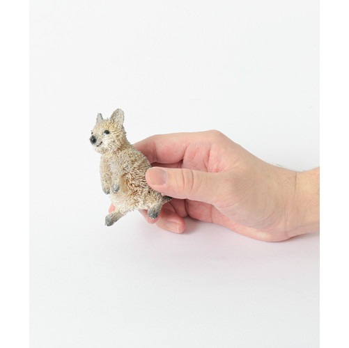 たわしアニマル(クオッカワラビー)