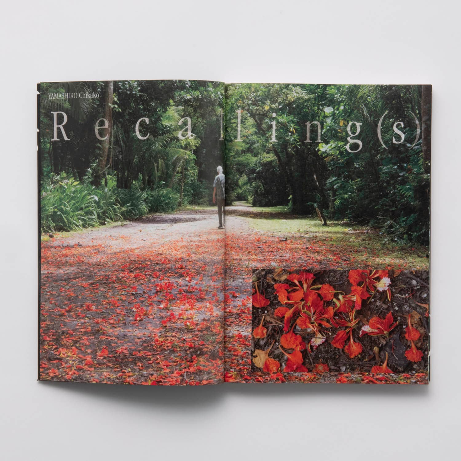 カタログ「山城知佳子×志賀理江子 漂着」展｜アーティゾン美術館